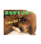 むぎちゃタンプ（個別スタンプ：14）