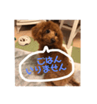 むぎちゃタンプ（個別スタンプ：17）