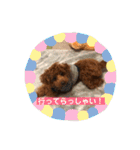 むぎちゃタンプ（個別スタンプ：18）