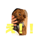 むぎちゃタンプ（個別スタンプ：19）