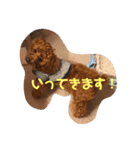 むぎちゃタンプ（個別スタンプ：20）