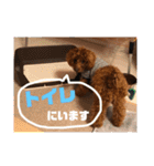 むぎちゃタンプ（個別スタンプ：26）