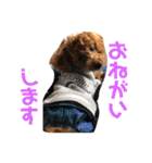 むぎちゃタンプ（個別スタンプ：28）