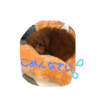 むぎちゃタンプ（個別スタンプ：31）