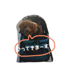 むぎちゃタンプ（個別スタンプ：33）