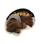 むぎちゃタンプ（個別スタンプ：40）