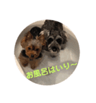 カイトとクルミの生活 ②（個別スタンプ：1）