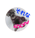 カイトとクルミの生活 ②（個別スタンプ：2）