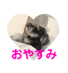 カイトとクルミの生活 ②（個別スタンプ：3）