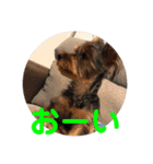 カイトとクルミの生活 ②（個別スタンプ：4）