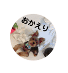 カイトとクルミの生活 ②（個別スタンプ：14）