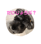 カイトとクルミの生活 ②（個別スタンプ：18）