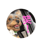 カイトとクルミの生活 ②（個別スタンプ：24）