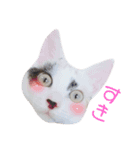 三毛猫ぽんずスタンプver.1（個別スタンプ：4）