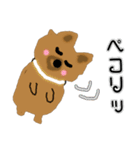 ちわわのポッキーの春（個別スタンプ：12）