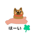 ちわわのポッキーの春（個別スタンプ：20）
