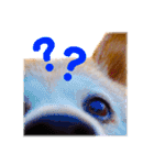 柴犬りくぽん（個別スタンプ：22）