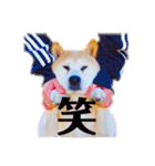柴犬りくぽん（個別スタンプ：27）