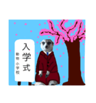 可愛い可愛い動物スタンプ！！（個別スタンプ：1）
