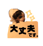我が子たち by山村家（個別スタンプ：5）