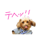 うるの反応代行サービス（個別スタンプ：1）