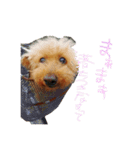 うるの反応代行サービス（個別スタンプ：7）