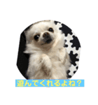 ワンダフルな毎日2（個別スタンプ：2）