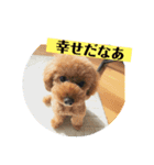 ワンダフルな毎日2（個別スタンプ：6）
