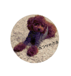 小麦のこむたん4♪（個別スタンプ：1）