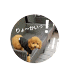 小麦のこむたん4♪（個別スタンプ：9）