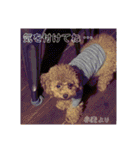 小麦のこむたん4♪（個別スタンプ：10）