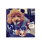 小麦のこむたん4♪（個別スタンプ：12）