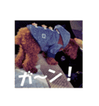 小麦のこむたん4♪（個別スタンプ：14）