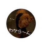 小麦のこむたん4♪（個別スタンプ：18）