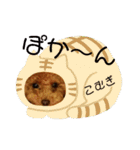 小麦のこむたん4♪（個別スタンプ：20）