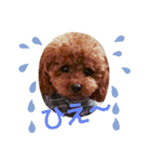 小麦のこむたん4♪（個別スタンプ：23）