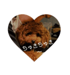 小麦のこむたん4♪（個別スタンプ：25）