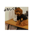 小麦のこむたん4♪（個別スタンプ：28）