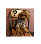 小麦のこむたん4♪（個別スタンプ：30）