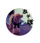 小麦のこむたん4♪（個別スタンプ：34）