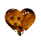 小麦のこむたん4♪（個別スタンプ：36）