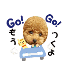 小麦のこむたん4♪（個別スタンプ：37）