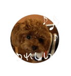 小麦のこむたん4♪（個別スタンプ：40）