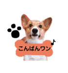 従姉妹ちゃんシリーズ（個別スタンプ：9）