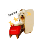 バーニーくんの日常スタンプ（個別スタンプ：3）