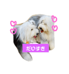 バーニーくんの日常スタンプ（個別スタンプ：6）
