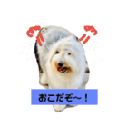 バーニーくんの日常スタンプ（個別スタンプ：14）