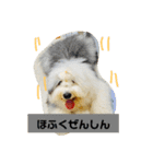 バーニーくんの日常スタンプ（個別スタンプ：15）