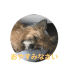 ケアンテリア まろん 日常フレーズ 1（個別スタンプ：5）