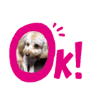 我が家の★愛犬スタンプ（個別スタンプ：7）